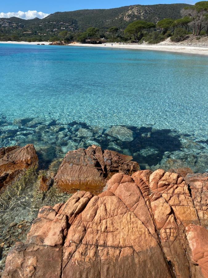 Отель Palombaggia Location I Pini Porto Vecchio Экстерьер фото